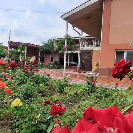 Vip Hostel Turkistan Exterior foto